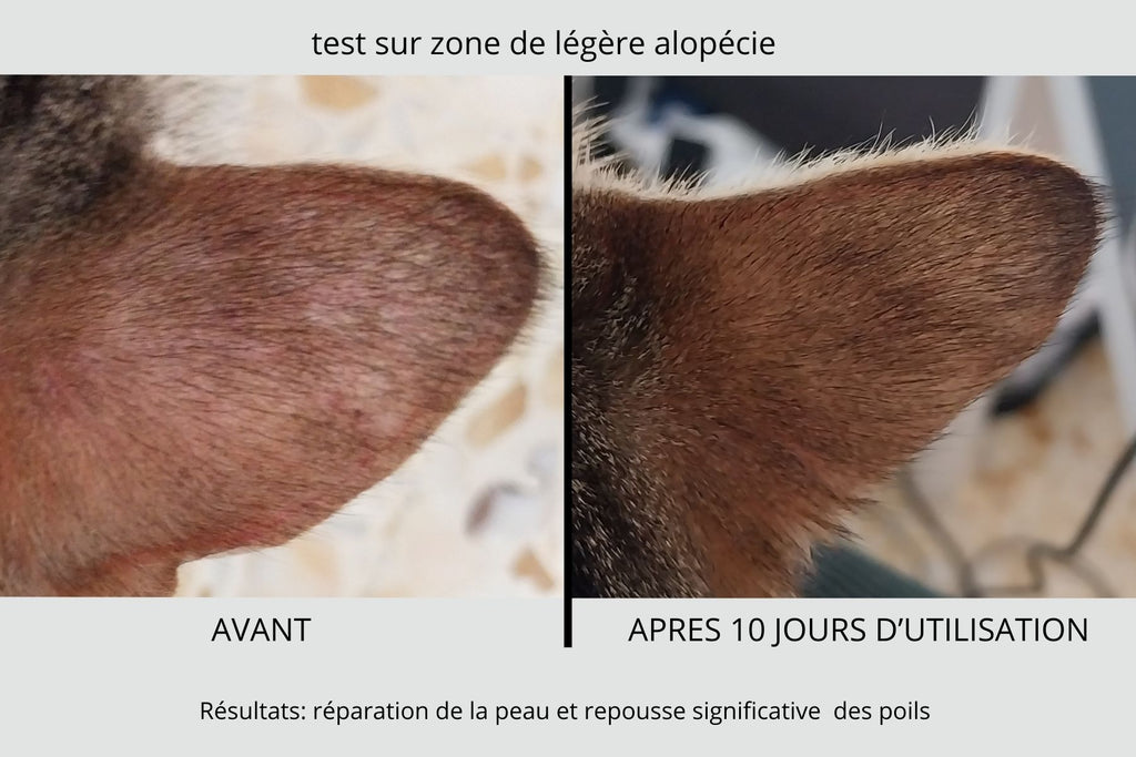 SOIN SANS RINCAGE MULTIFONCTIONNEL NATUREL POUR CHIENS ET CHATS - 100 ml - PRODUIT EN FRANCE