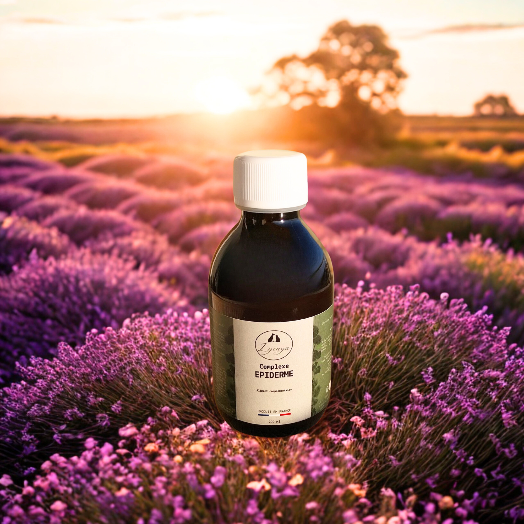 COMPLEXE EPIDERME POUR CHIENS ET CHATS SANS ALCOOL - 200 ml - PRODUIT EN FRANCE