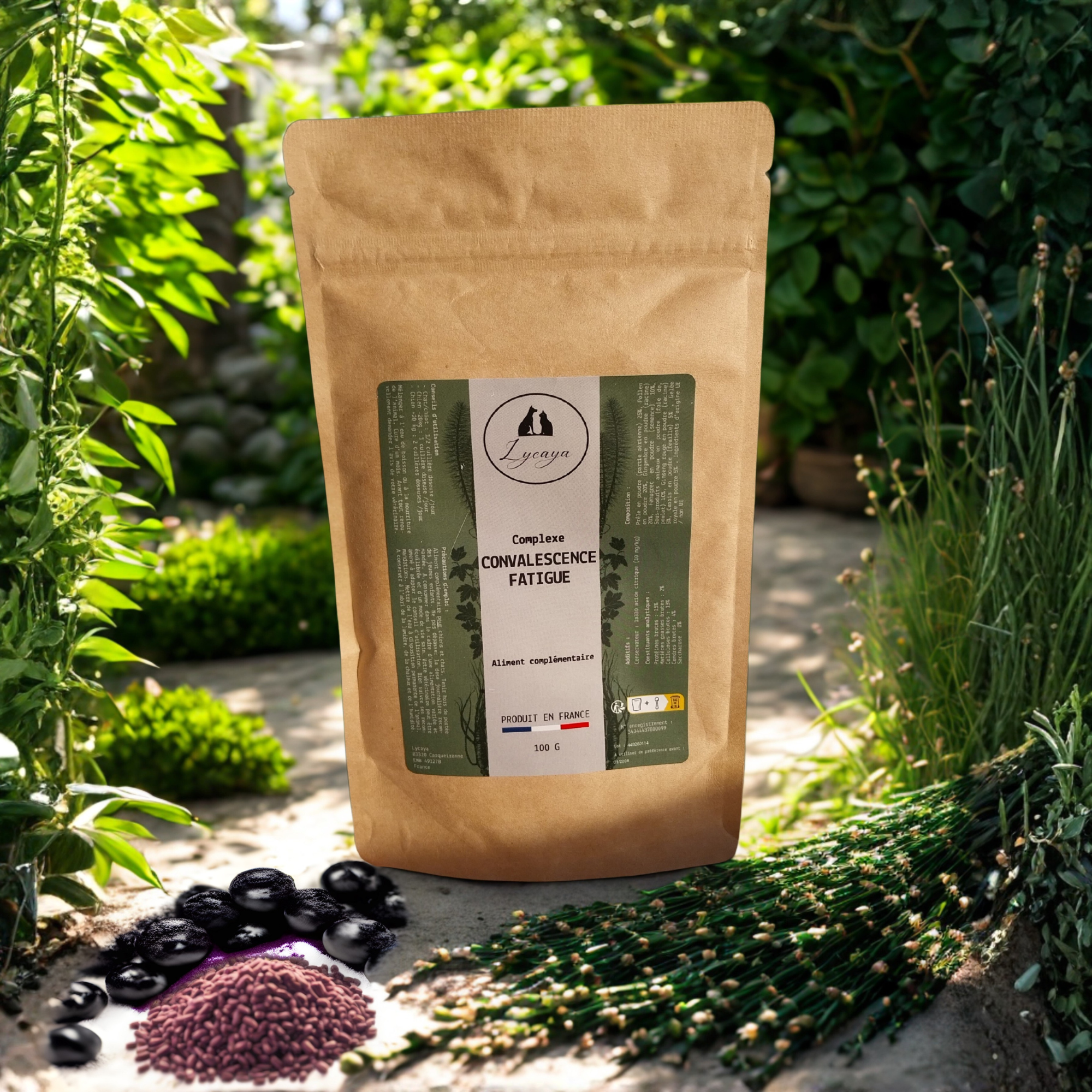 COMPLEXE CONVALESCENCE/FATIGUE POUR CHIENS ET CHATS - 100 gr - PRODUIT EN FRANCE