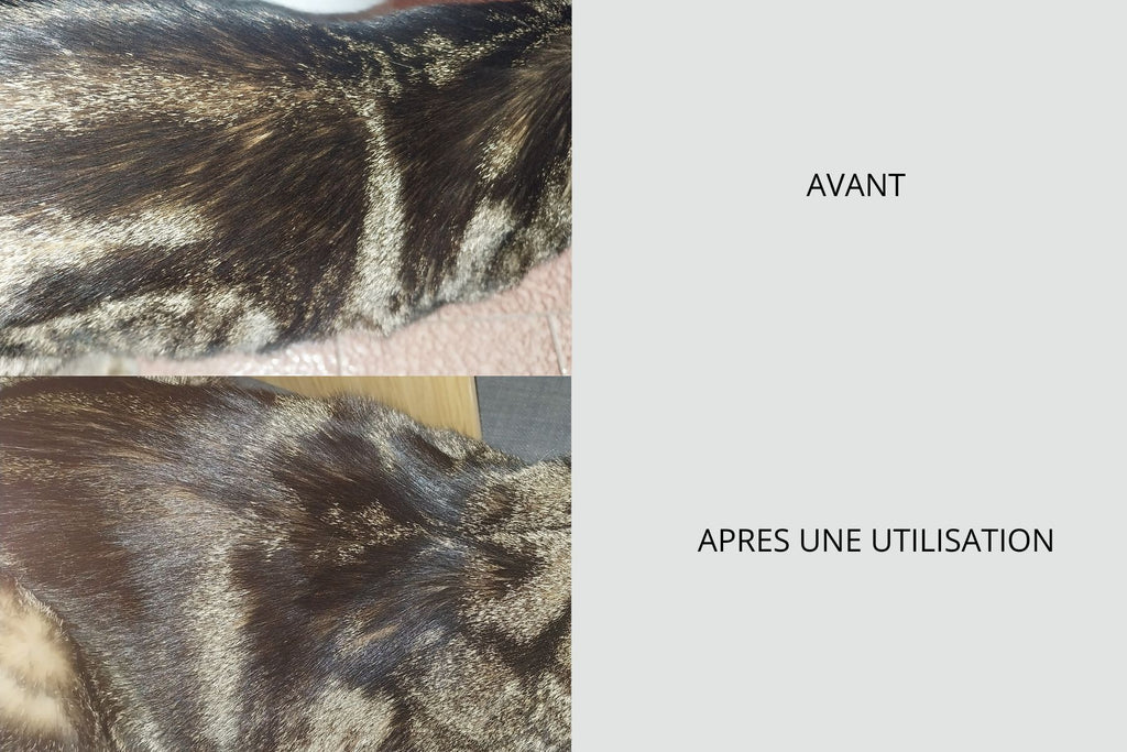 SOIN SANS RINCAGE MULTIFONCTIONNEL NATUREL POUR CHIENS ET CHATS - 100 ml - PRODUIT EN FRANCE