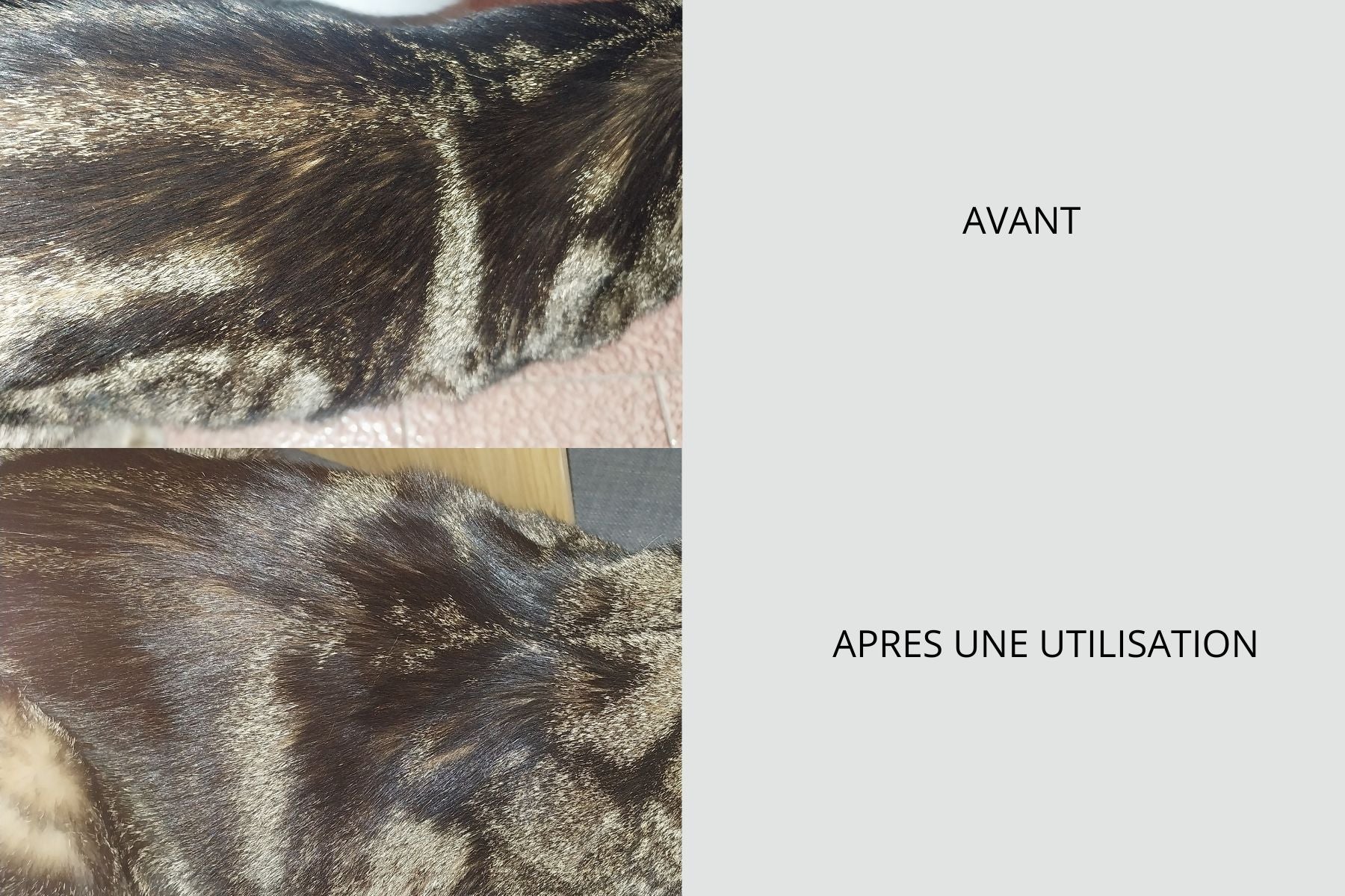 SOIN SANS RINCAGE MULTIFONCTIONNEL NATUREL POUR CHIENS ET CHATS - 100 ml - PRODUIT EN FRANCE