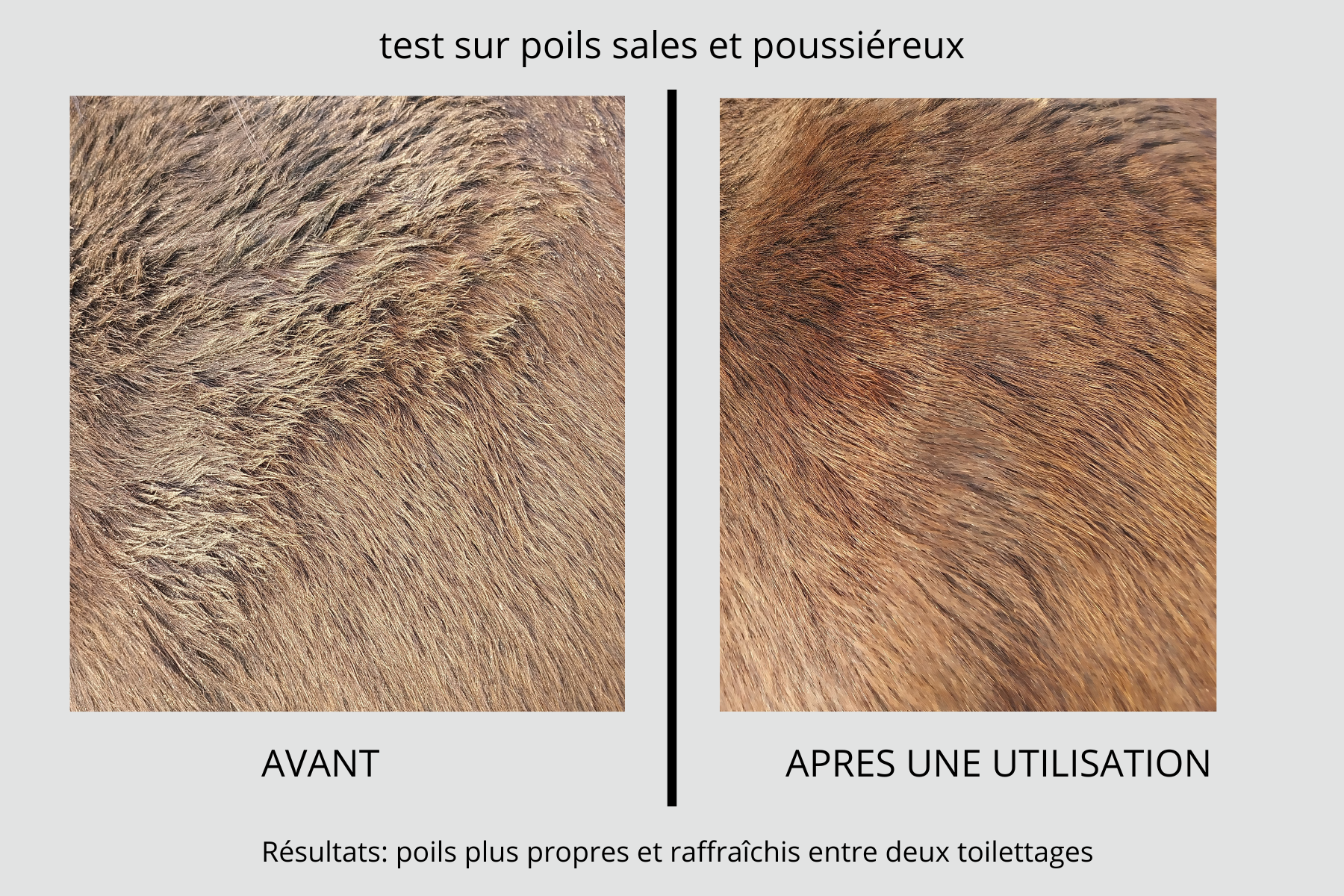 SOIN SANS RINCAGE MULTIFONCTIONNEL NATUREL POUR CHIENS ET CHATS - 100 ml - PRODUIT EN FRANCE
